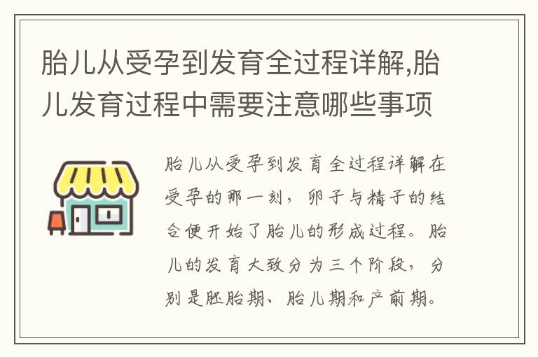 胎兒從受孕到發育全過程詳解,胎兒發育過程中需要注意哪些事項