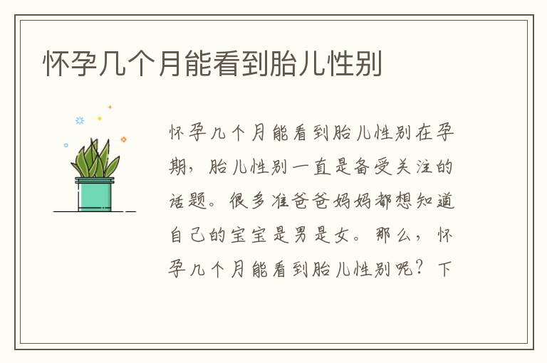 懷孕幾個月能看到胎兒性別