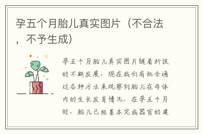 孕五個月胎兒真實圖片（不合法，不予生成）