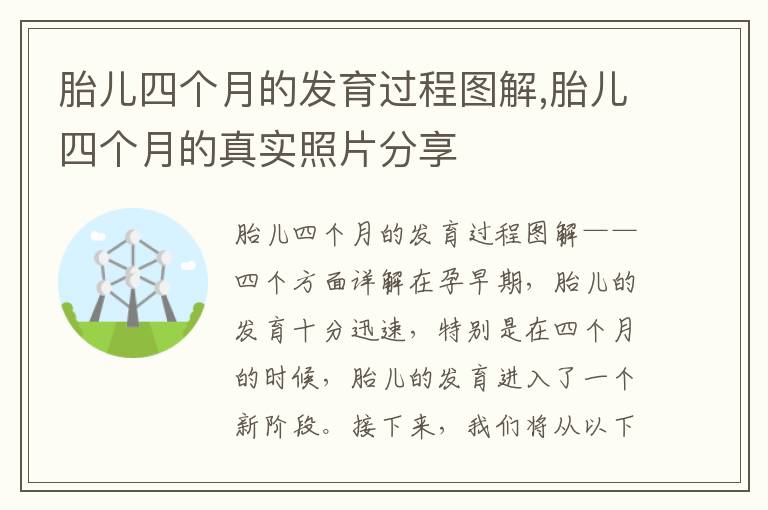 胎兒四個月的發育過程圖解,胎兒四個月的真實照片分享