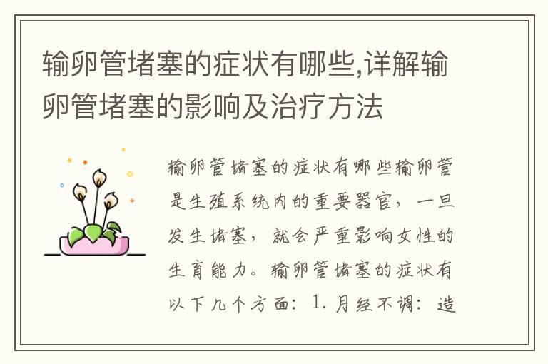 輸卵管堵塞的癥狀有哪些,詳解輸卵管堵塞的影響及治療方法