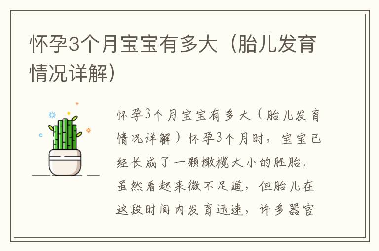 懷孕3個月寶寶有多大（胎兒發育情況詳解）