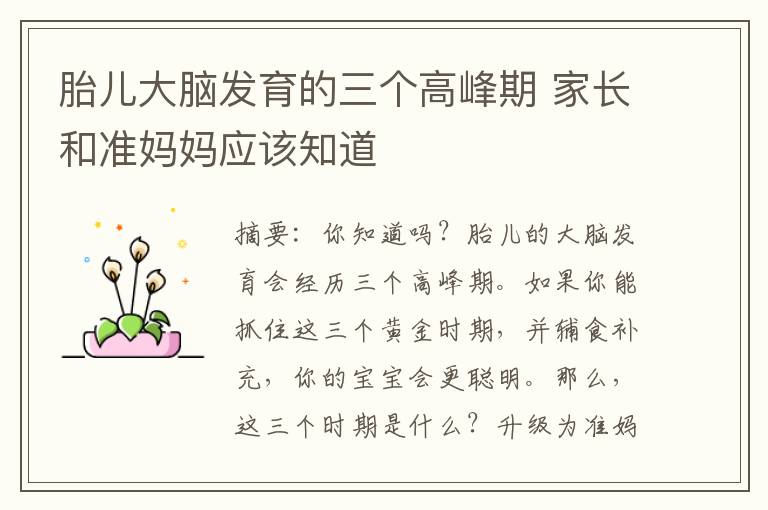 胎兒大腦發育的三個高峰期 家長和準媽媽應該知道