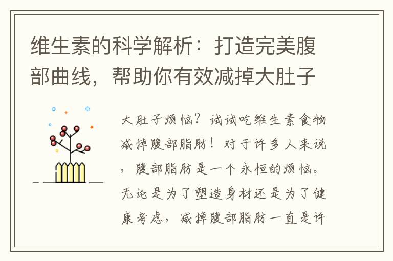 維生素的科學解析：打造完美腹部曲線，幫助你有效減掉大肚子！