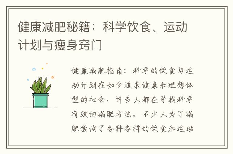 健康減肥秘籍：科學飲食、運動計劃與瘦身竅門