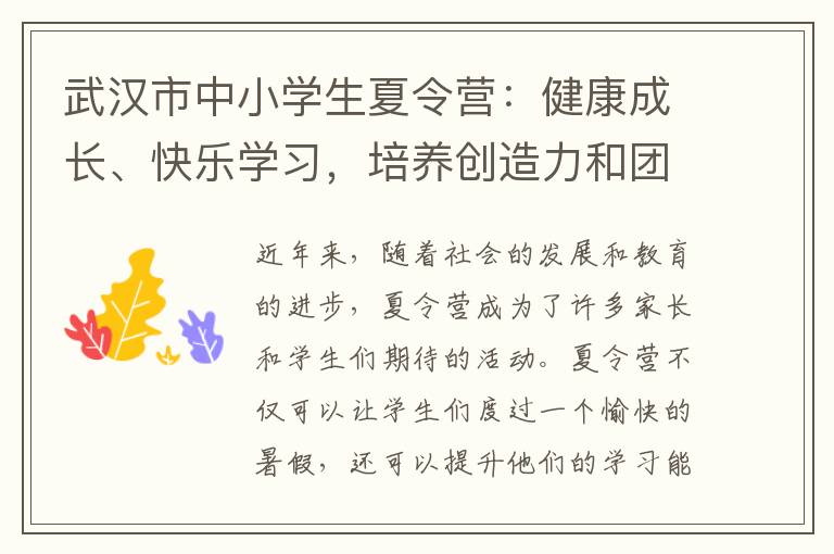 武漢市中小學生夏令營：健康成長、快樂學習，培養創造力和團隊合作精神的全面發展