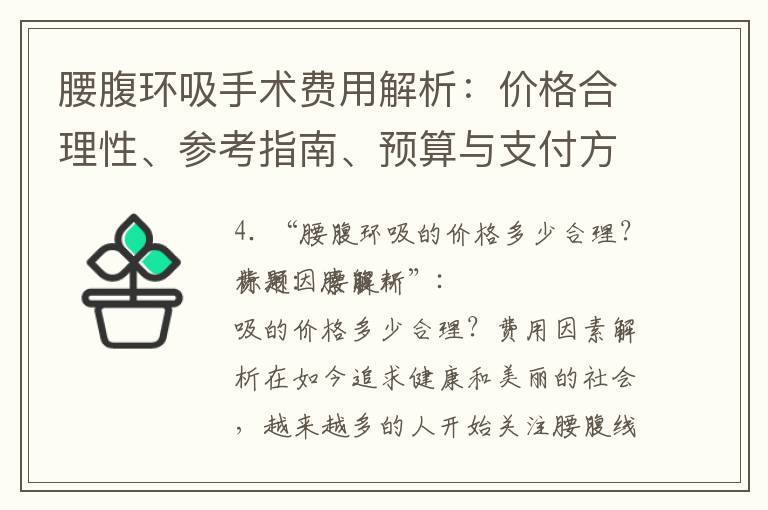 腰腹環吸手術費用解析：價格合理性、參考指南、預算與支付方式