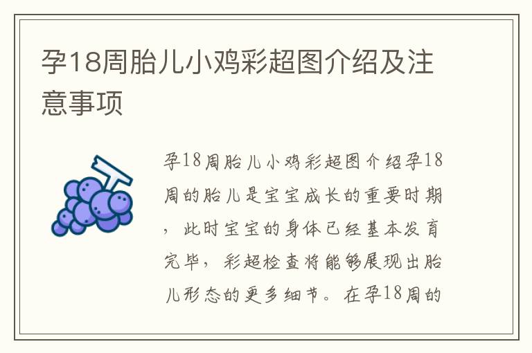 孕18周胎兒小雞彩超圖介紹及注意事項