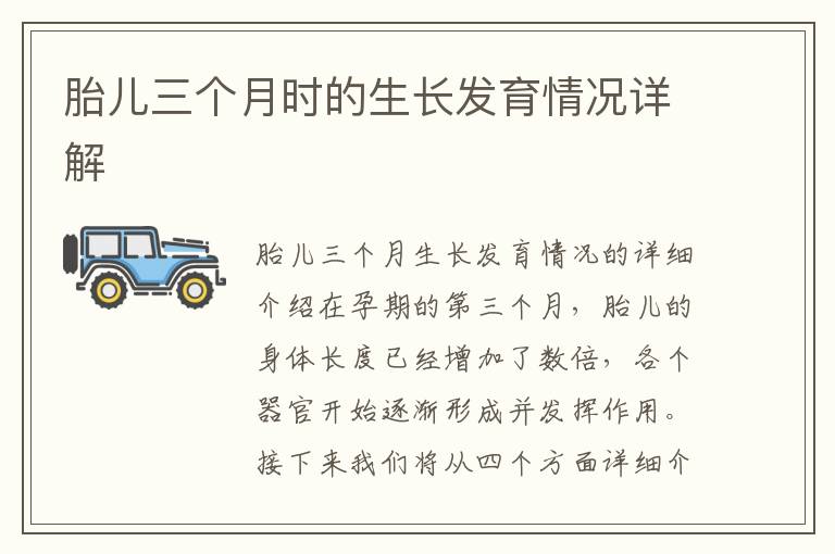 胎兒三個月時的生長發育情況詳解