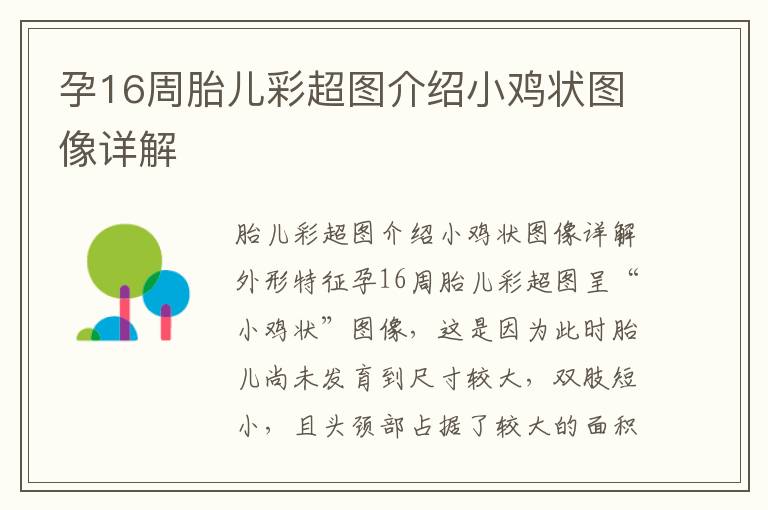 孕16周胎兒彩超圖介紹小雞狀圖像詳解