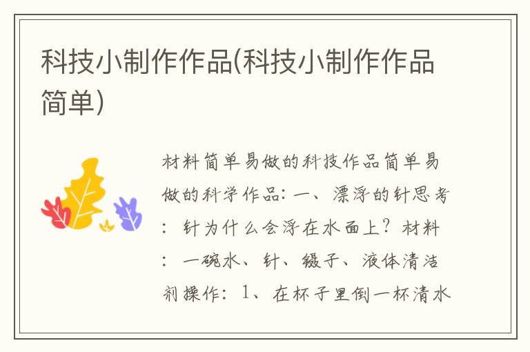 科技小制作作品(科技小制作作品簡單)