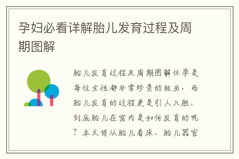 孕婦必看詳解胎兒發育過程及周期圖解