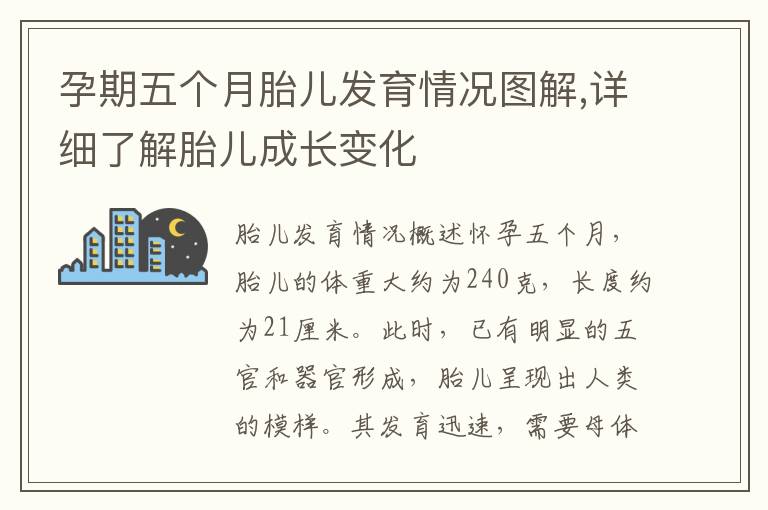 孕期五個月胎兒發育情況圖解,詳細了解胎兒成長變化
