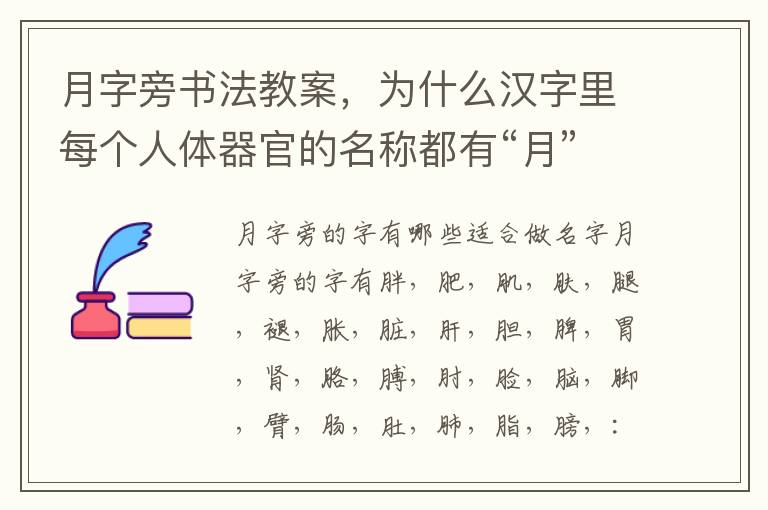 月字旁書法教案，為什么漢字里每個人體器官的名稱都有“月”字旁