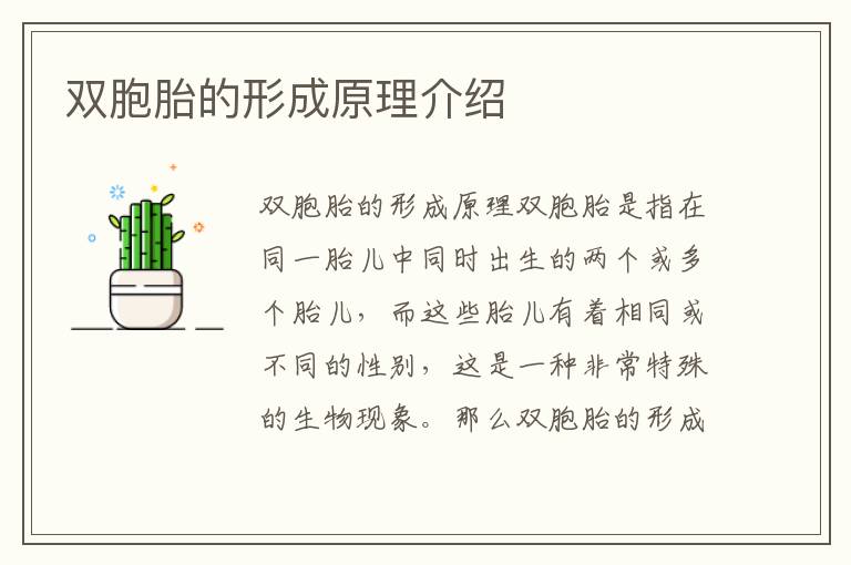 雙胞胎的形成原理介紹