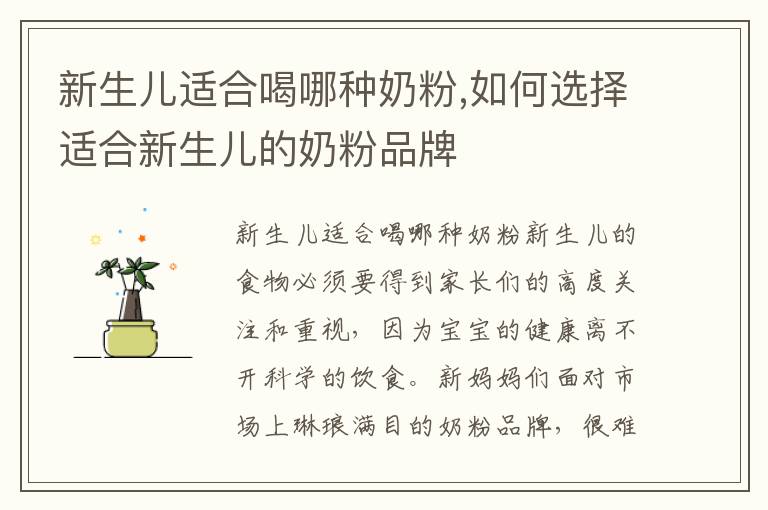 新生兒適合喝哪種奶粉,如何選擇適合新生兒的奶粉品牌
