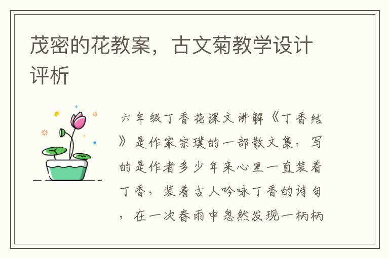 茂密的花教案，古文菊教學設計評析