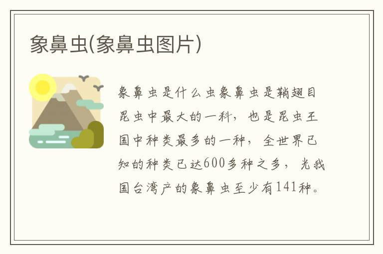 象鼻蟲(象鼻蟲圖片)