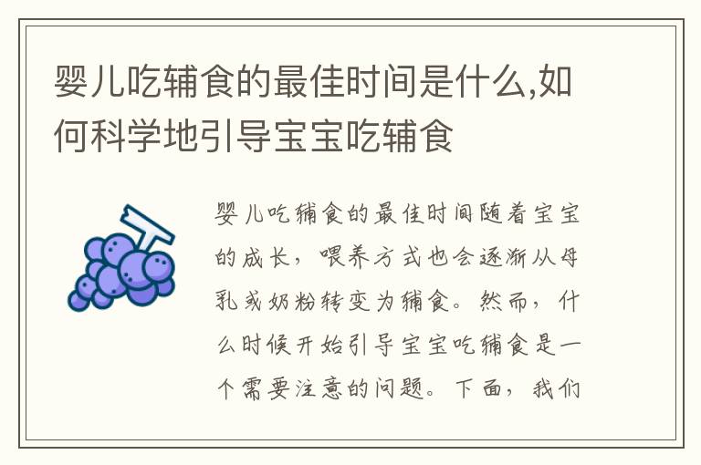 嬰兒吃輔食的最佳時間是什么,如何科學地引導寶寶吃輔食