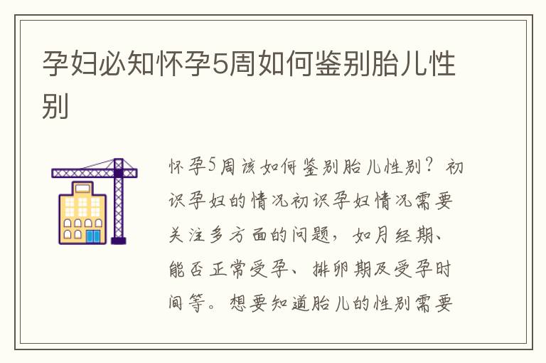 孕婦必知懷孕5周如何鑒別胎兒性別