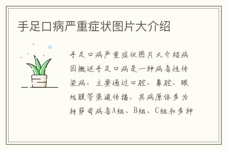 手足口病嚴重癥狀圖片大介紹