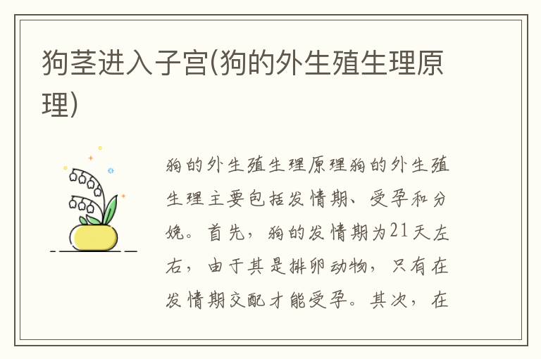 狗莖進入子宮(狗的外生殖生理原理)