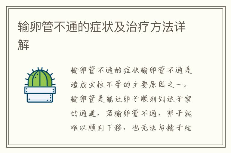 輸卵管不通的癥狀及治療方法詳解