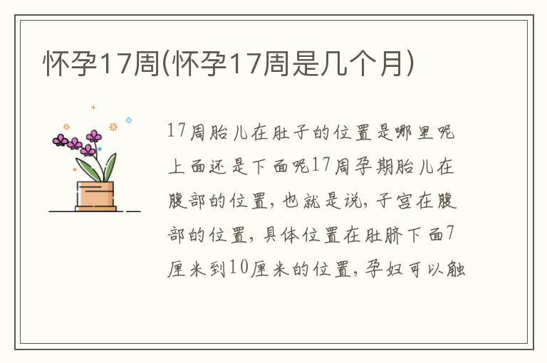 懷孕17周(懷孕17周是幾個月)