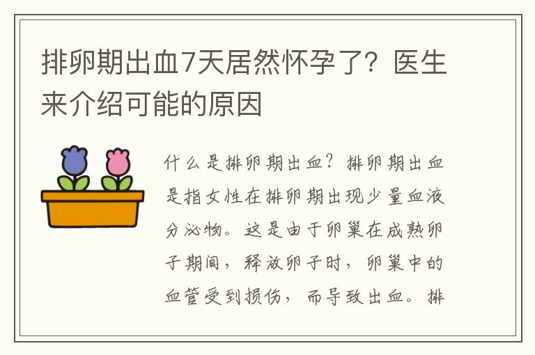 排卵期出血7天居然懷孕了？醫生來介紹可能的原因