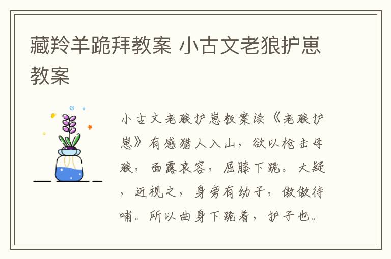 藏羚羊跪拜教案 小古文老狼護崽教案