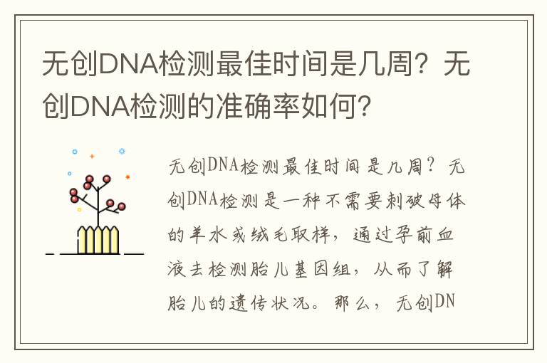 無創DNA檢測最佳時間是幾周？無創DNA檢測的準確率如何？