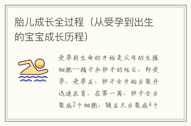 胎兒成長全過程（從受孕到出生的寶寶成長歷程）