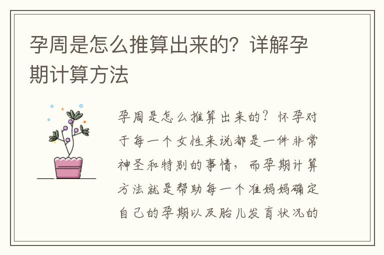 孕周是怎么推算出來的？詳解孕期計算方法