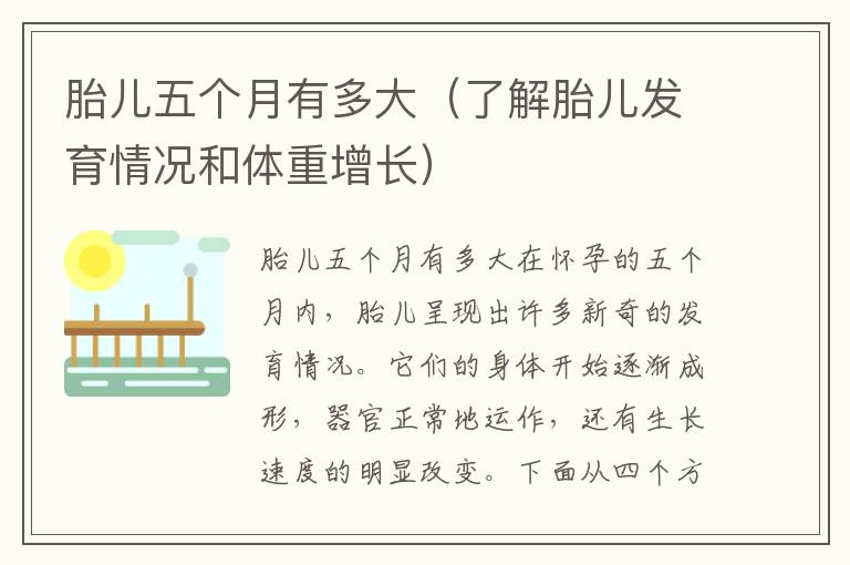 胎兒五個月有多大（了解胎兒發育情況和體重增長）
