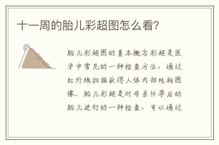 十一周的胎兒彩超圖怎么看？