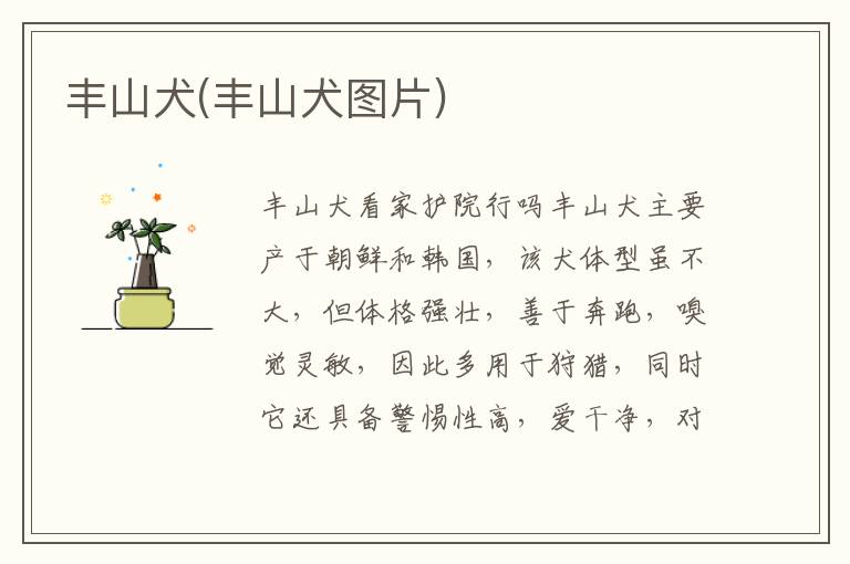 豐山犬(豐山犬圖片)