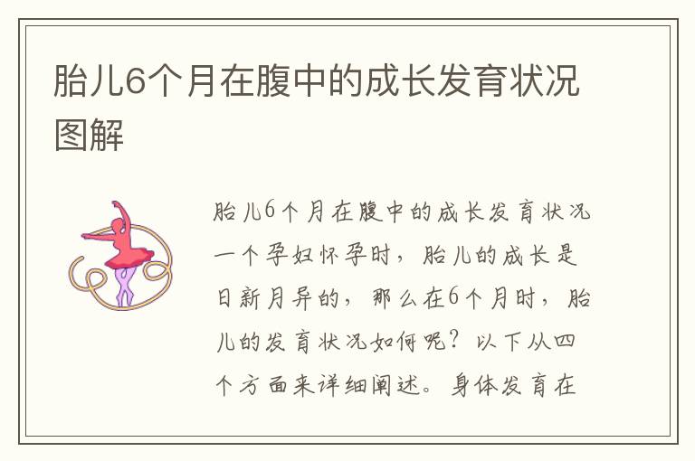胎兒6個月在腹中的成長發育狀況圖解