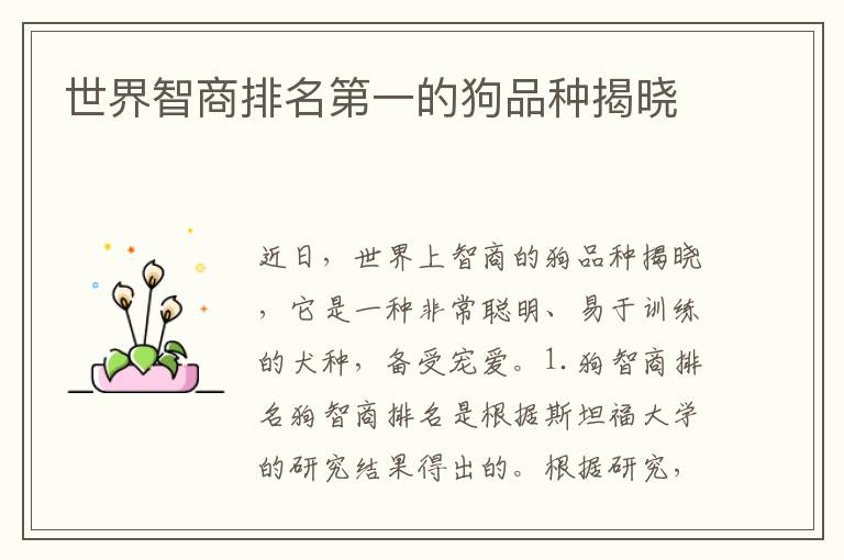 世界智商排名第一的狗品種揭曉