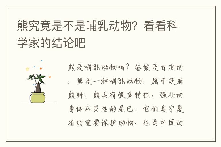 熊究竟是不是哺乳動物？看看科學家的結論吧