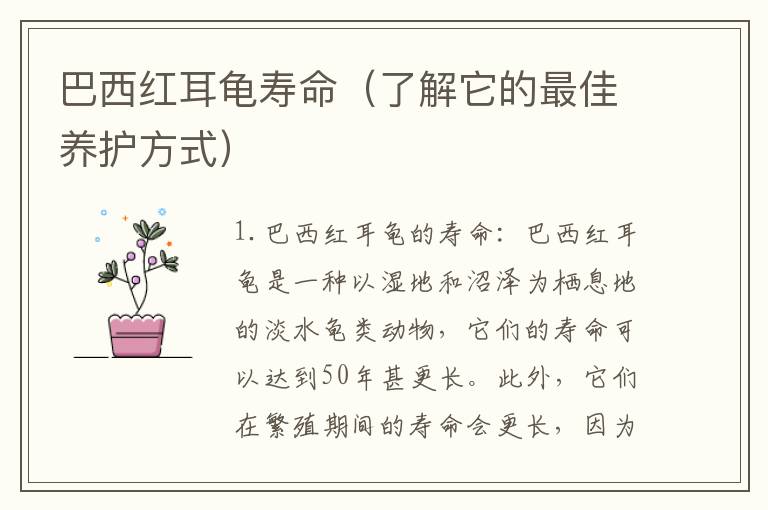 巴西紅耳龜壽命（了解它的最佳養護方式）