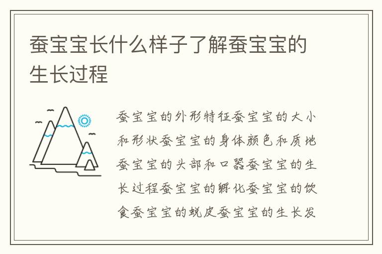 蠶寶寶長什么樣子了解蠶寶寶的生長過程