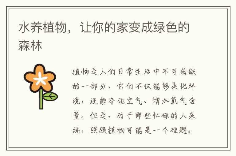 水養植物，讓你的家變成綠色的森林