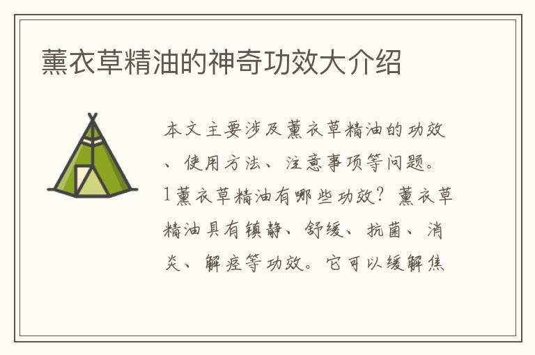 薰衣草精油的神奇功效大介紹