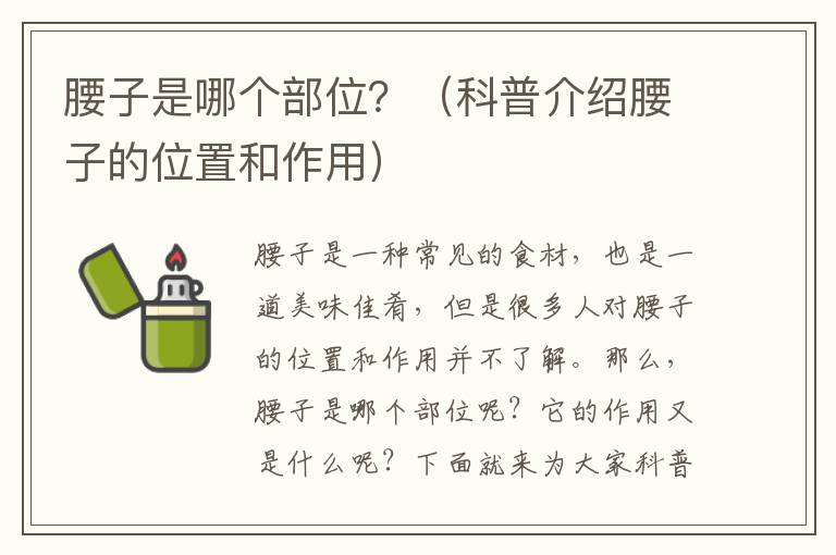 腰子是哪個部位？（科普介紹腰子的位置和作用）