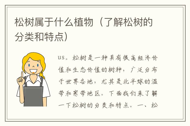 松樹屬于什么植物（了解松樹的分類和特點）