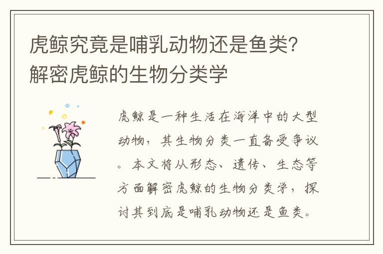 虎鯨究竟是哺乳動物還是魚類？解密虎鯨的生物分類學