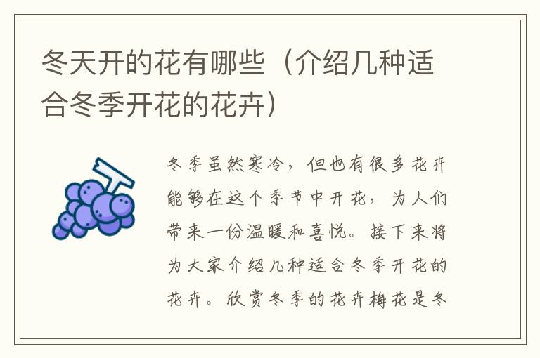 冬天開的花有哪些（介紹幾種適合冬季開花的花卉）