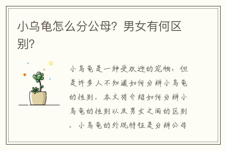 小烏龜怎么分公母？男女有何區別？