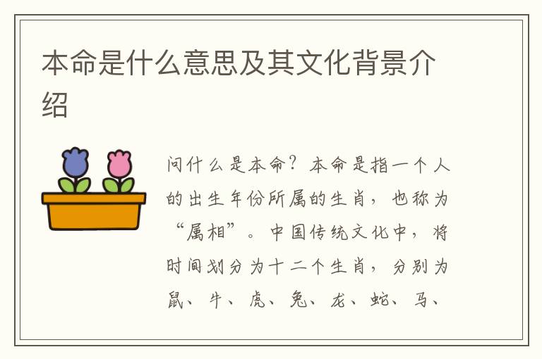 本命是什么意思及其文化背景介紹