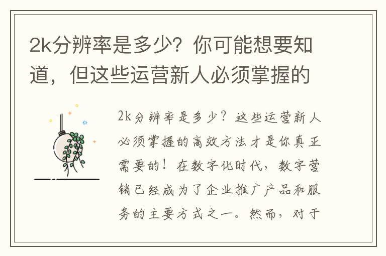 2k分辨率是多少？你可能想要知道，但這些運營新人必須掌握的高效方法才是你真正需要的